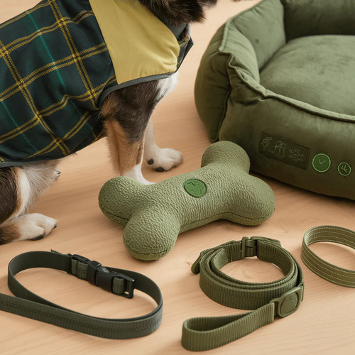 Various pet accessories including collars and leashes