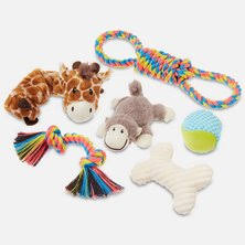 Pet Toys